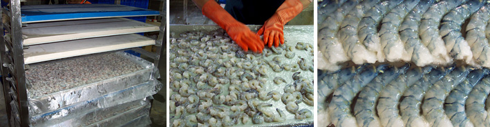PD or PUD Shrimp Processing